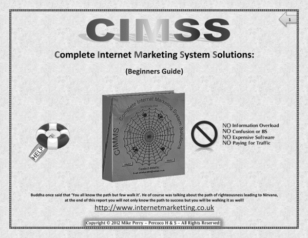 Product picture Definitive beginners guide to internet marketing